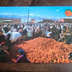 CP  PAYS MAROC  VENDEURS D ORANGES