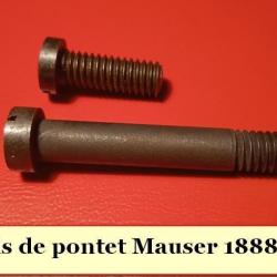 Vis boitier Mauser 1888