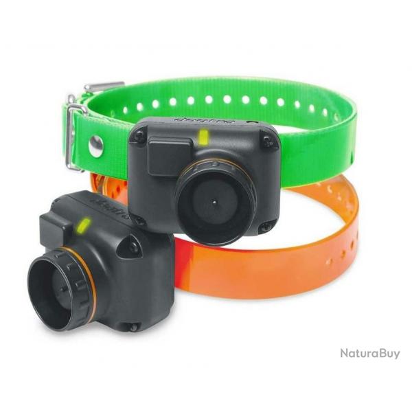 Collier suppl. dressage et reprage GPS Dogtra 2600T&B / 2602T&B-Vert