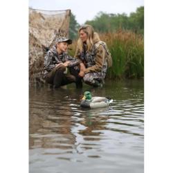 Pack de 6 Colvert Male Ultra HD moussé