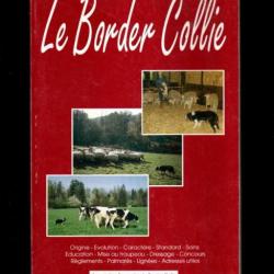 le border collie de jean piacentino , origine, standard, dressage, mise en oeuvre troupeaux