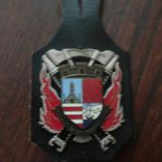 Insigne Ancien De Sapeurs-Pompiers Du Finistère - Obsolète, Original - Occasion