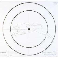 Lot de 100 Cibles d'essai Fusil 90x90