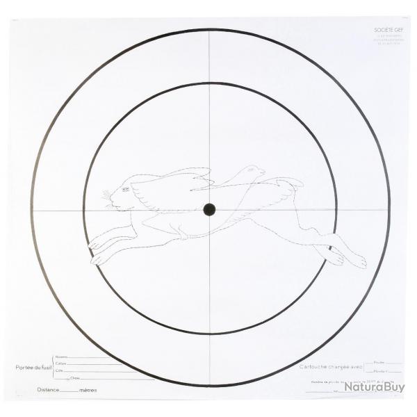 Lot de 100 Cibles d'essai Fusil 90x90