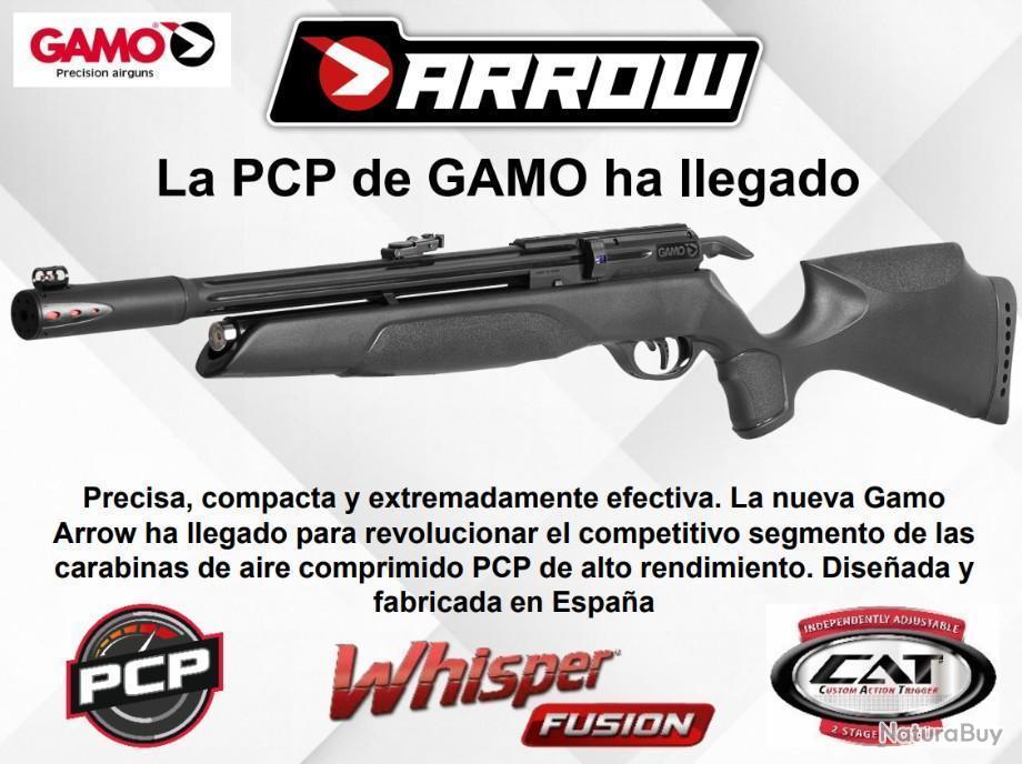 Carabine à air comprimé Gamo PCP Arrow, 4,5 mm, 19,9 joules + Kit Puissance  - Carabines PCP et CO2 moins de 20 joules (9138516)