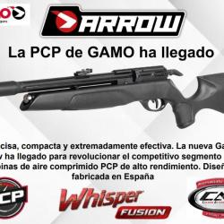 Carabine à air comprimé Gamo PCP Arrow, 4,5 mm, 19,9 joules
