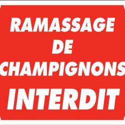 Panneau ramassage de champignons interdit en akylux - 25X30 cm