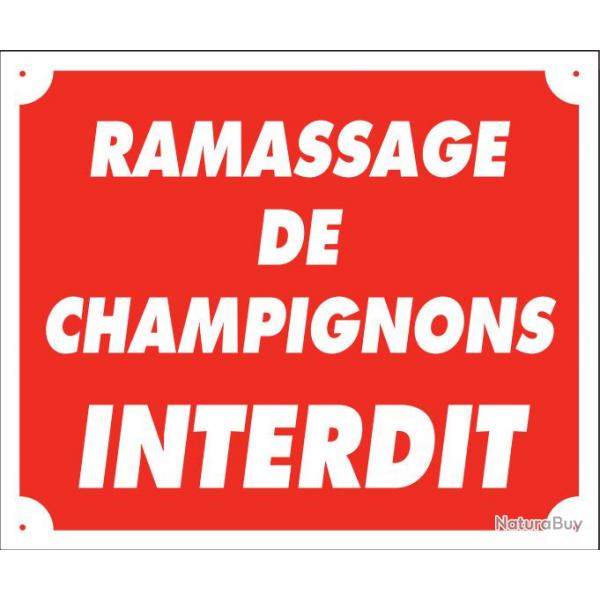 Panneau ramassage de champignons interdit en akylux - 25X30 cm