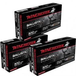 Balles Winchester Ballistic Silvertip - Cal. 300 W ...