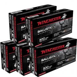 Balles Winchester Ballistic Silvertip - Cal. 300 WSM - Par 5