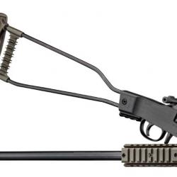 PACK CARABINE PLIANTE CHIAPPA LITTLE BADGER 22 LR OD GREEN+ POINT ROUGE +SILENCIEUX