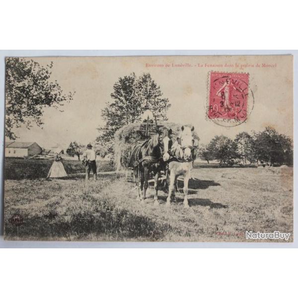 CPA Meurthe-et-Moselle Environs de Lunville Fenaison prairie Moncel