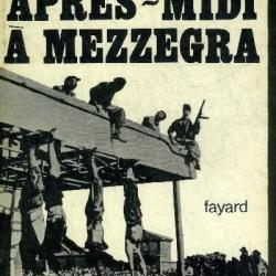 un après-midi à mezzegra , capture et exécution de mussolini par peter whittle , italie fasciste