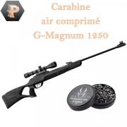 Pack Carabine Gamo G-Magnum 1250 Jungle + lunette 3-9 x 40 WR Cal