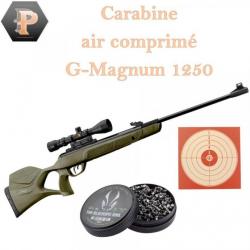 Carabine Gamo G-Magnum 1250 Jungle + lunette 3-9 x 40 WR. Cal 5,5 mm + 500 plombs + 100 cibles
