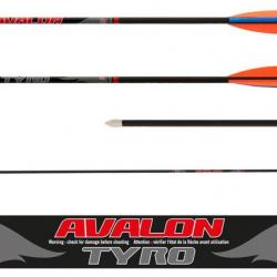 Flèche Avalon Tyro 4.2 en carbone 29" 1000 70grains