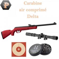 Carabine GAMO Delta Red synthétique - 4.5mm - 7,5 joules + 500 plombs + lunette + cibles