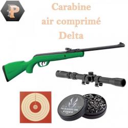 Carabine GAMO Delta Green synthétique - 4.5mm - 7,5 joules + 500 plombs + cibles + lunette