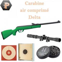Carabine GAMO Delta Green synthétique - 4.5mm - 7,5 joules + plombs + cibles + lunette + porte cible