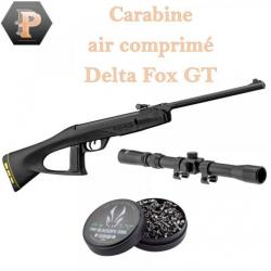 Carabine Gamo junior Delta Fox GT Ring jaune Cal 4.5 + 500 plombs + lunette