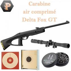Carabine Gamo junior Delta Fox GT Ring jaune Cal 4.5 + 500 plombs + lunette + cibles + porte cible