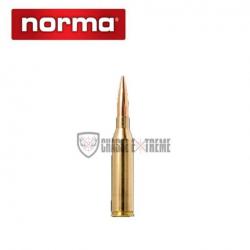 20 Munitions NORMA Cal 300 Norma Mag 230gr VLD