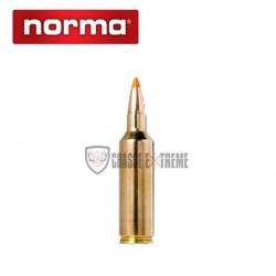 20 Munitions NORMA Cal 300 Rum 170gr Tipstrike