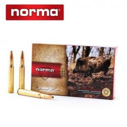 20 Munitions NORMA Cal 300 Weath Mag 180gr Oryx