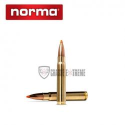 20 Munitions NORMA Cal 9.3x62 255gr Tipstrike