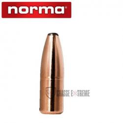 50 Ogives NORMA Cal 375-300gr Oryx