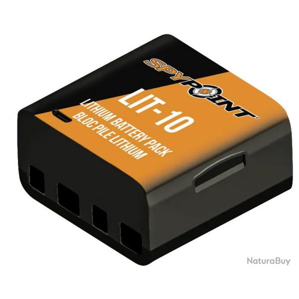 Batterie Supplmentaire Pour Camra Spypoint Micro Link S