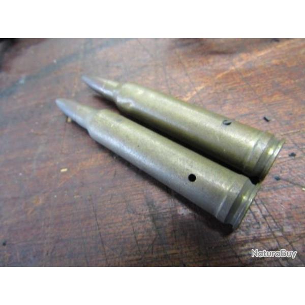 300 Winchester magnum neutralise perce+ percutes