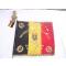 petites annonces chasse pêche : 040) lot belgique drapeau national belge grand lyon en bois rechampi et redoré