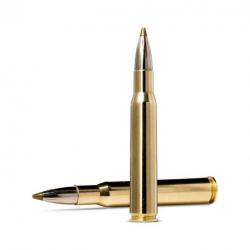 Norma EVOSTRIKE 30-06 Springfield 139GR