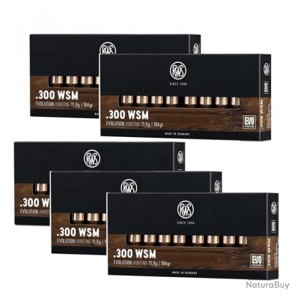 Balles RWS Evo - 300 WSM / Par 5