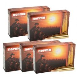 Balles Norma Barnes Triple-Shock - Cal. 375 HH - 375 HH / Par 5