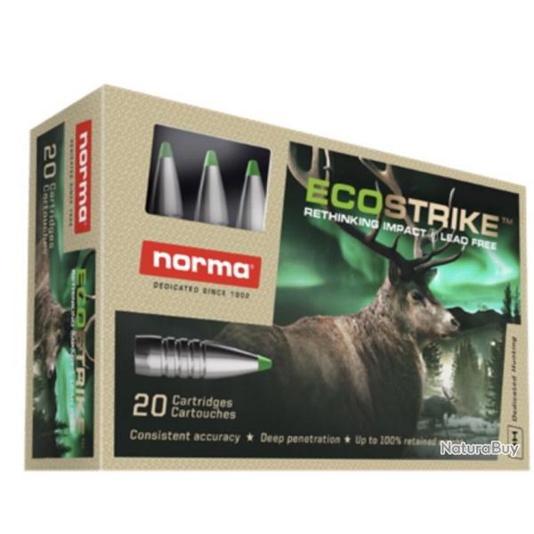 Norma Ecostrike Silencer 308 Win 9.7 g