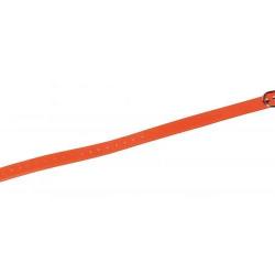 Collier Pour Chien Fluo - Bleu