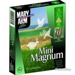 10 CARTOUCHES MARY ARM MINI MAGNUM CAL 12 PLOMB 6