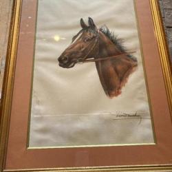 gravure de tète de cheval de Léon Danchin