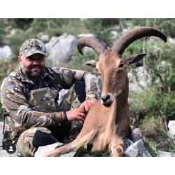 Séjour en Espagne Mouflon à manchettes et/ou Bouquetin Ibérique (3 chasseurs minimum)