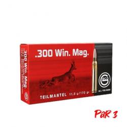 Balles Geco TM Demi-blindée - Cal. 300 Win. Mag. - 300 Win MAG / Par 3