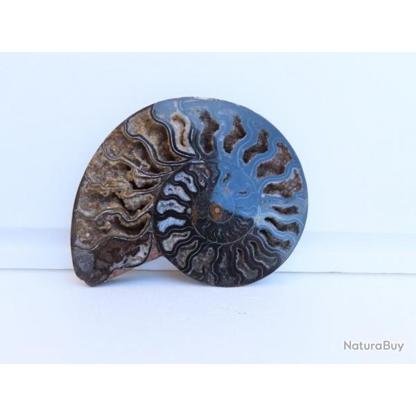 Jolie demi Ammonite noire polie de Madagascar fossile minraux Diamtre 17 cm  N 3