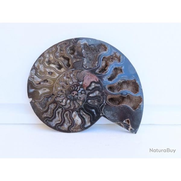 Jolie demi Ammonite noire polie de Madagascar fossile minraux Diamtre 17 cm  N 4