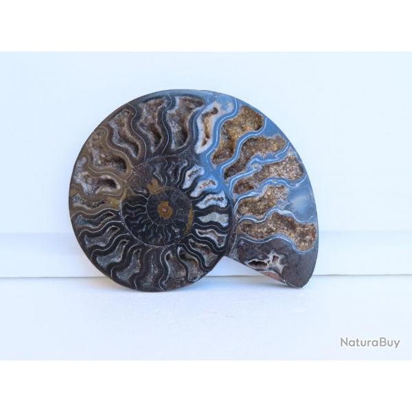 Jolie demi Ammonite noire polie de Madagascar fossile minraux Diamtre 17 cm  N 7