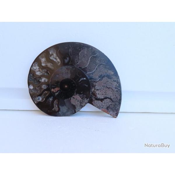 Jolie demi Ammonite noire polie de Madagascar fossile minraux Diamtre 13 cm  N 8