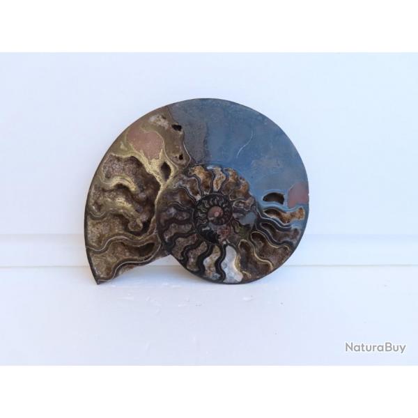 Jolie demi Ammonite noire polie de Madagascar fossile minraux Diamtre 20 cm  N 11