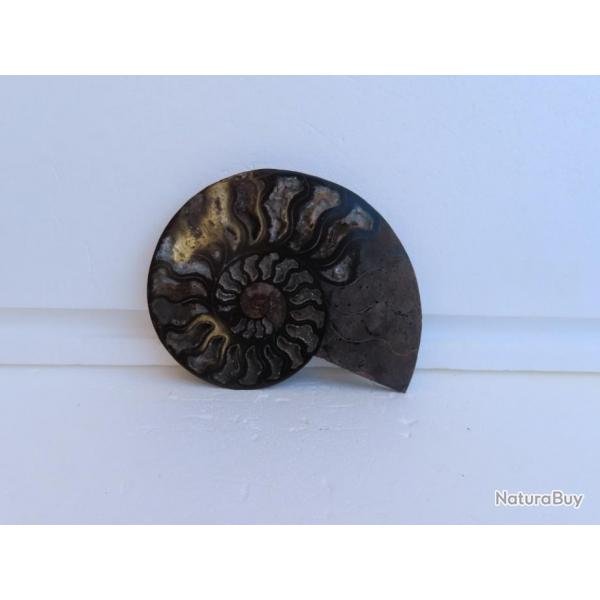 Jolie demi Ammonite noire polie de Madagascar fossile minraux Diamtre 14.5 cm  N 12