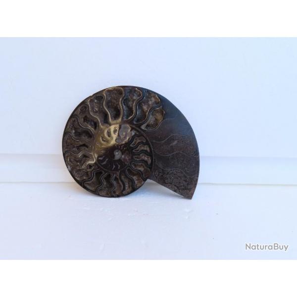 Jolie demi Ammonite noire polie de Madagascar fossile minraux Diamtre 14.5 cm  N 13
