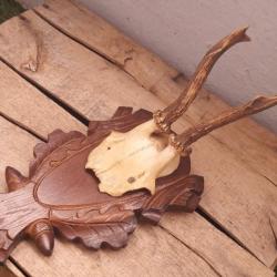 Chevreuil sur écusson #L5BC(5)